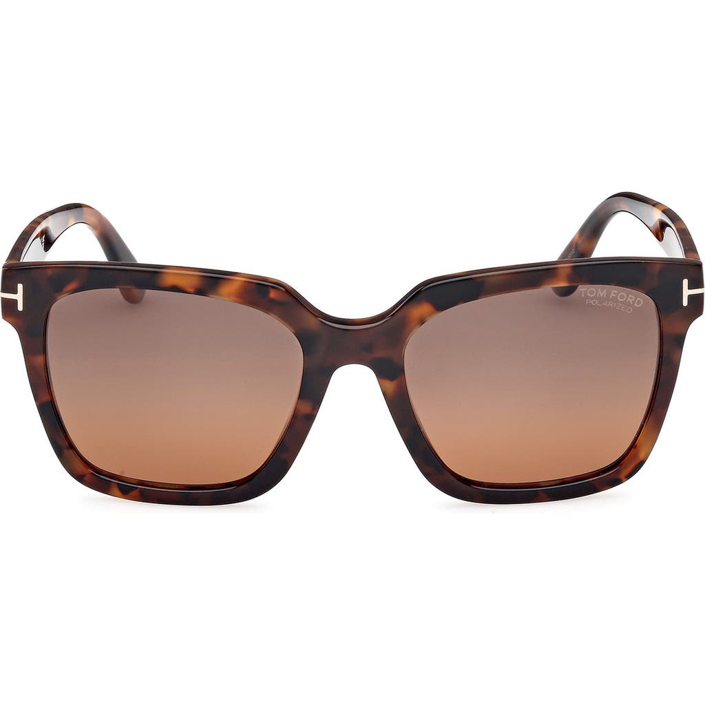 Tom Ford Haylay Acetate Rectangle Sunglasses In Shiny Dark Havana Eco