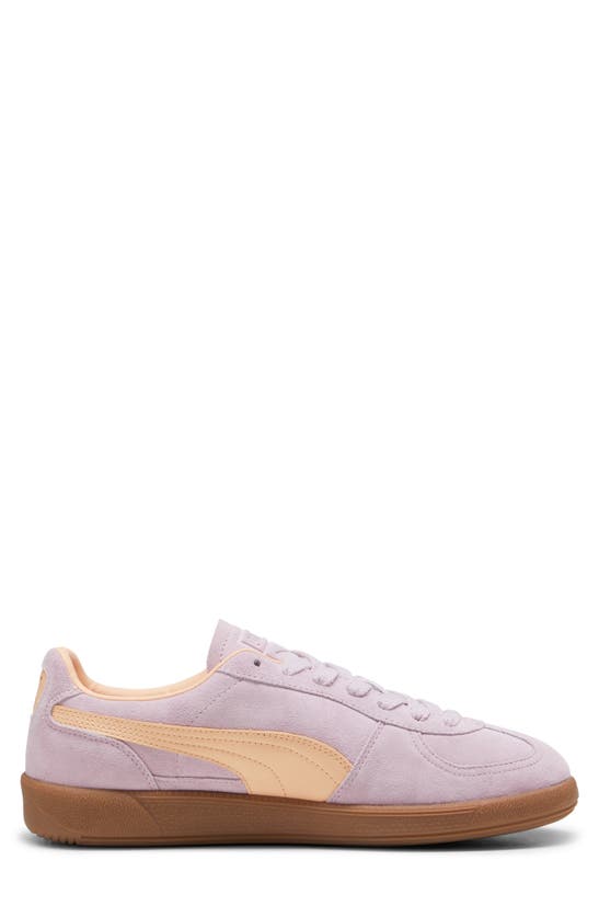 Puma Palermo Sneaker In Grape Mist-peach Fizz