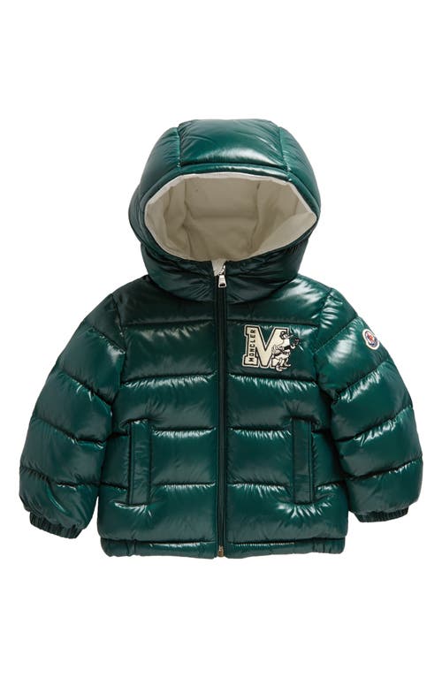 Moncler Kids' Arslan Hooded Down Jacket in Green at Nordstrom, Size 2Y