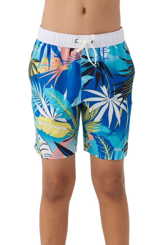 Shop O'neill Hermosa Swim Trunks In Multi Colored