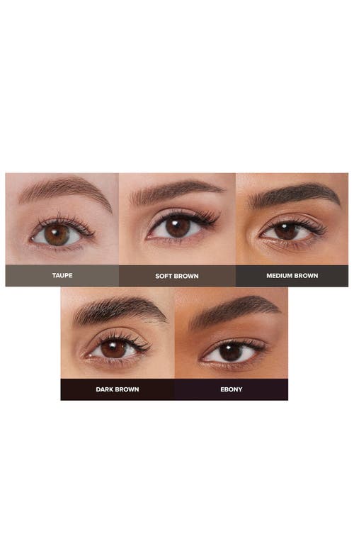 Anastasia Beverly Hills Natural & Polished Deluxe Eyebrow Kit (nordstrom Exclusive) $73 Value In Ebony