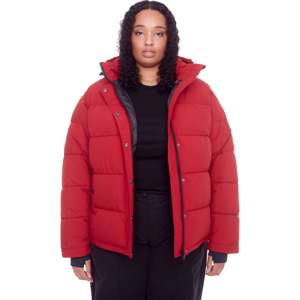 Alpine North Forillon Plus Women's Vegan Down (recycled) Short Quilted Puffer Jacket (plus Size) In Deep Red