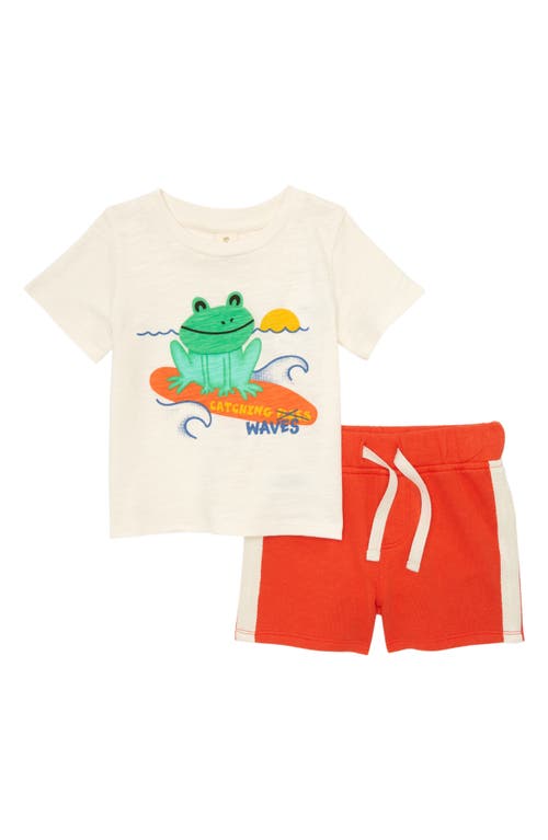 Tucker + Tate Graphic Tee & Shorts Set in Ivory Egret Catching Flies