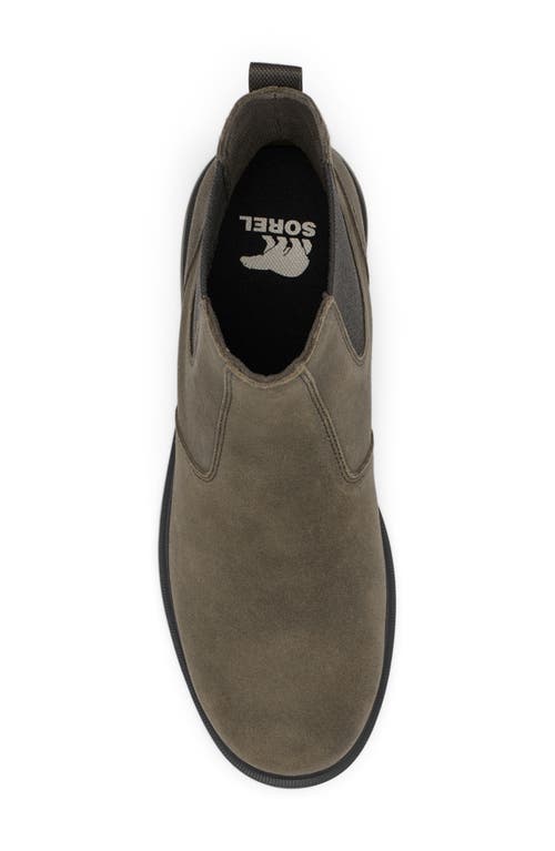 Shop Sorel Carson Waterproof Chelsea Boot In Major/ancient Fossil