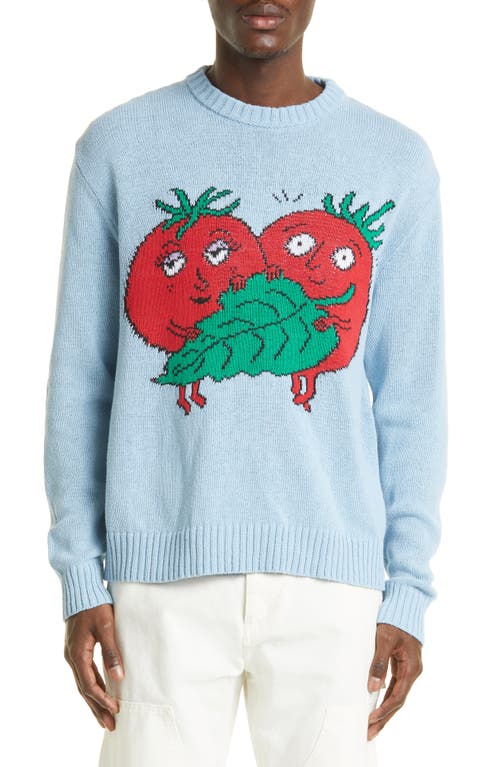 Happy Tomato Intarsia Sweater in Light Blue