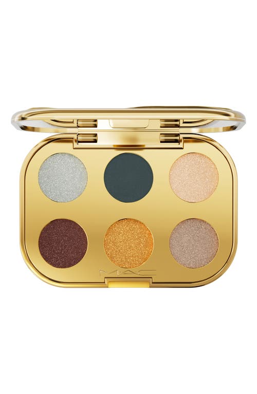 Shop Mac Cosmetics Treasured Eyeshadow Palette In All The Riches