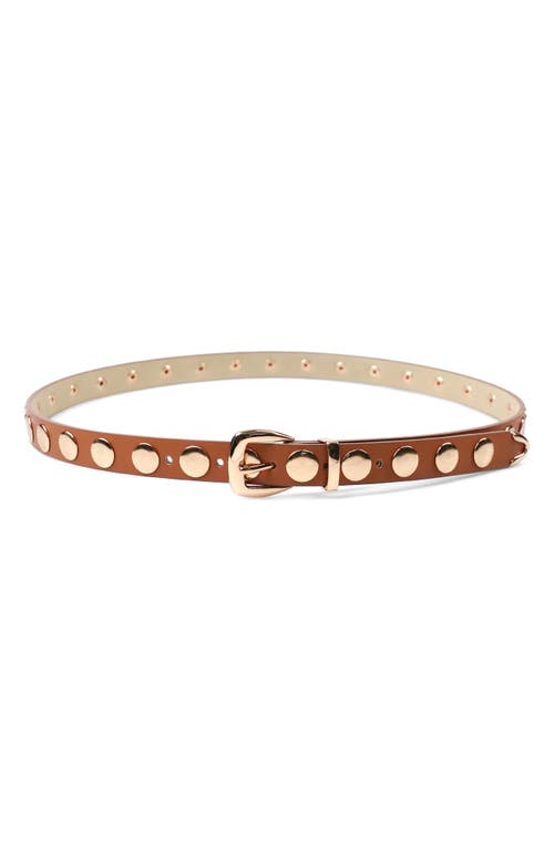 Petit Moments Disc Stud Belt In Brown