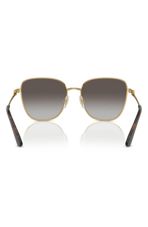 Dolce & Gabbana Dolce&gabbana 56mm Gradient Butterfly Sunglasses In Gold/black Grey