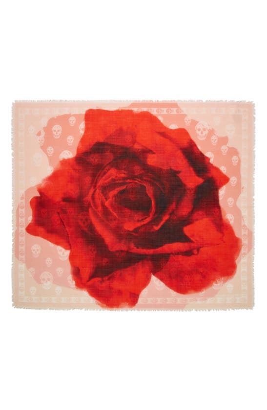 Shop Alexander Mcqueen Giant Rose Wool Scarf In Powder/ Red