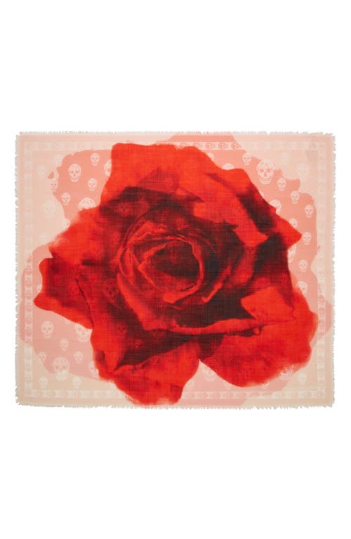 Alexander Mcqueen Giant Rose Wool Scarf In Powder/red