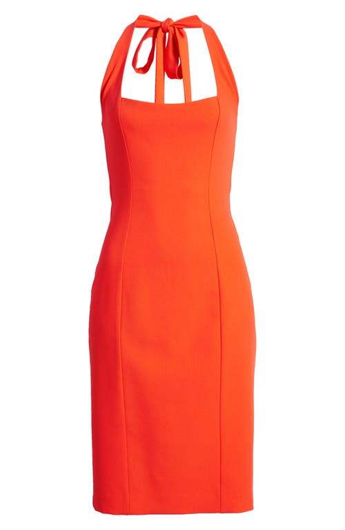 Shop Black Halo Zarela Halter Neck Sheath Cocktail Dress In Orange Tang