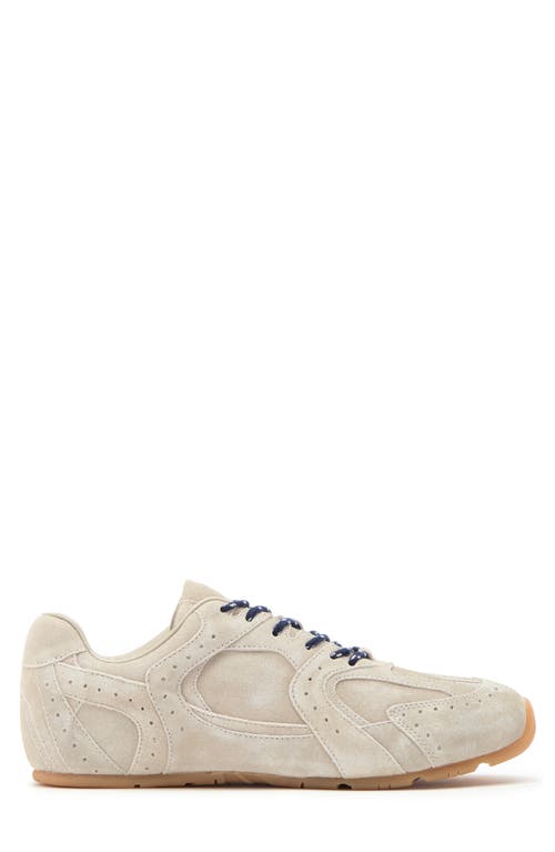 Shop Jeffrey Campbell Toned Sneaker In Ivory