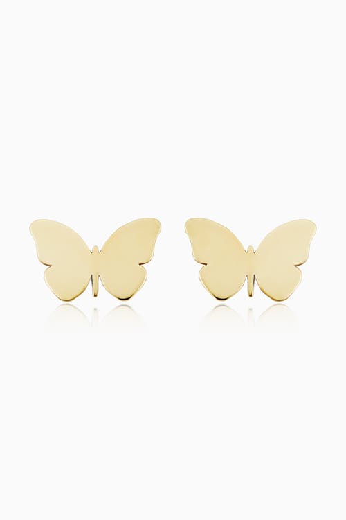 Oradina Esc Butterfly Studs In Yellow Gold