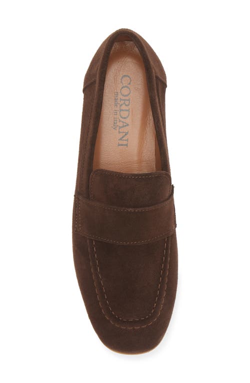 Shop Cordani Ardelle Moc Toe Loafer In T Moro Suede