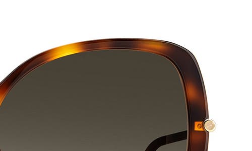 Shop Carolina Herrera 55mm Gradient Square Sunglasses In Havana/brown Gradient