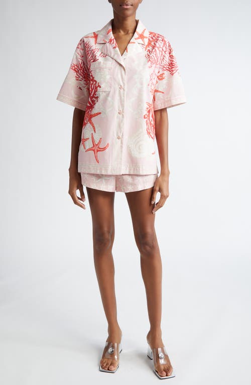 Shop Versace Starfish Print Cotton Shorts In 5pb40-dusty Rose Bone