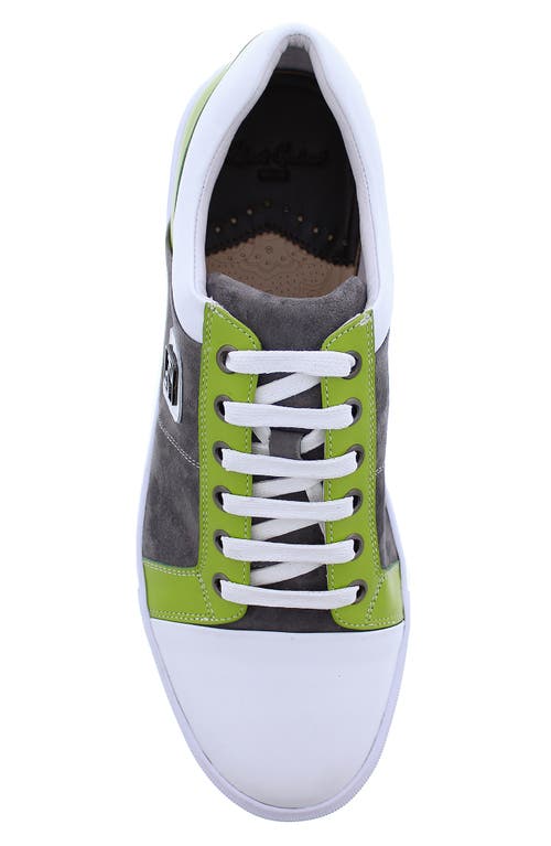 Shop Robert Graham Trixie Colorblock Cap Toe Sneaker In Charcoal