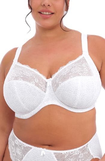 Morgan Stretch Banded Bra in White by Elomi – My Bare Essentials