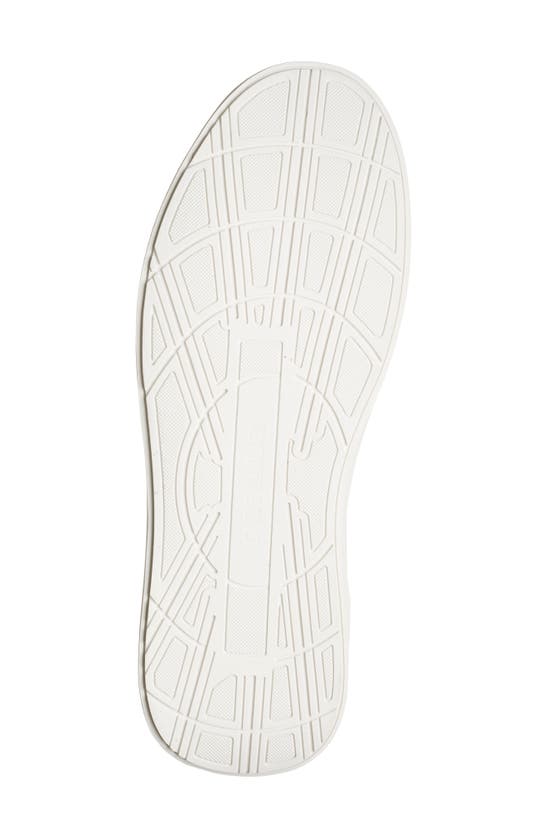 Steve Madden Pisces Sneaker In Navy