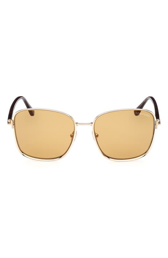 Tom Ford 57mm Square Sunglasses In Gold / Brown