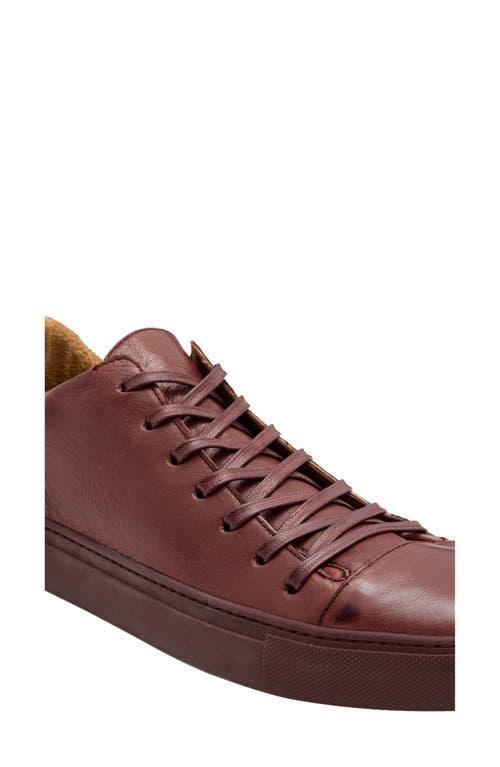 John Varvatos Reed Low Top Sneaker In Port