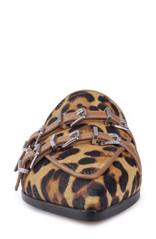 Shop Zigi Rous Genuine Calf Hair Mule In Leopard Calf Hair