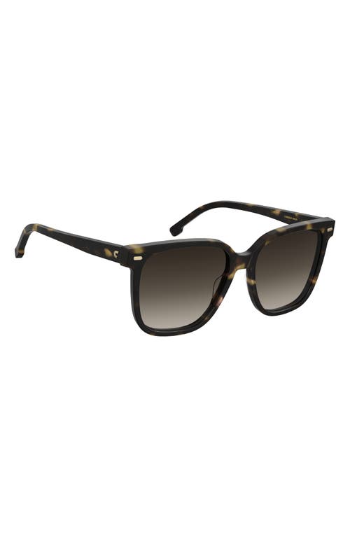 Carrera Eyewear 55mm Rectangular Sunglasses In Havana/brown Gradient