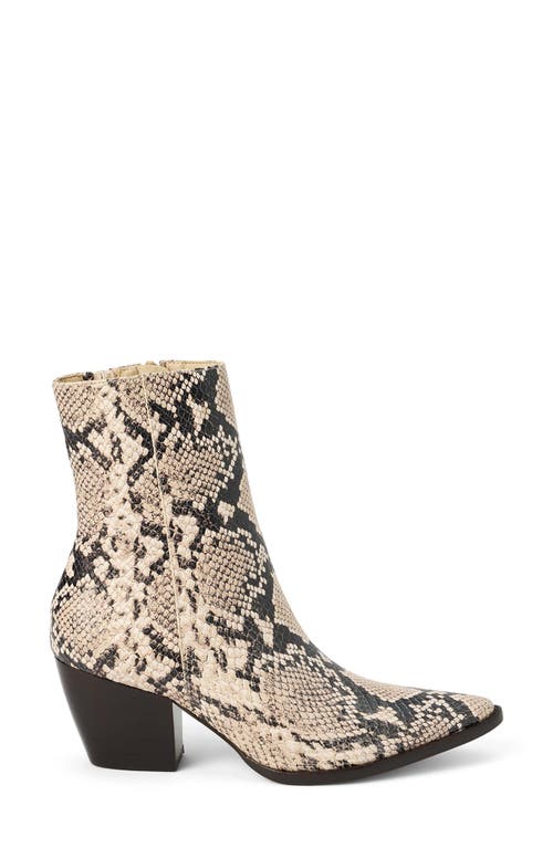 Shop Matisse Caty Western Pointed Toe Bootie In Neutral Snake/black