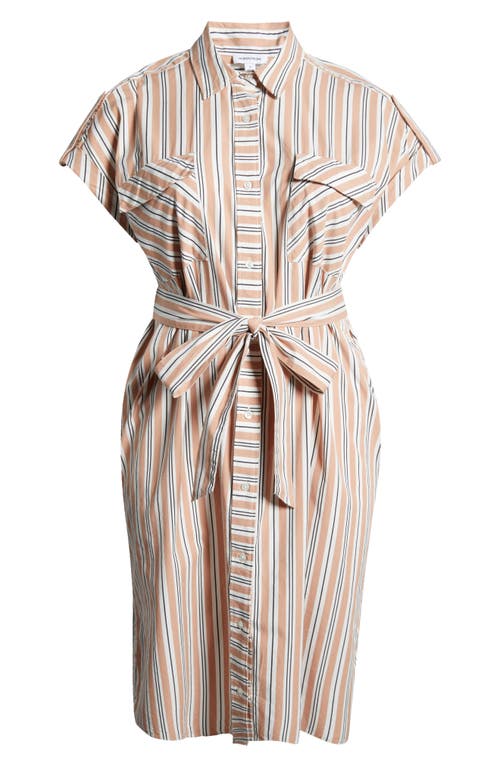 Shop Nordstrom Stripe Belted Cotton Utility Shirtdress In Beige Tuscany Leon Stripe