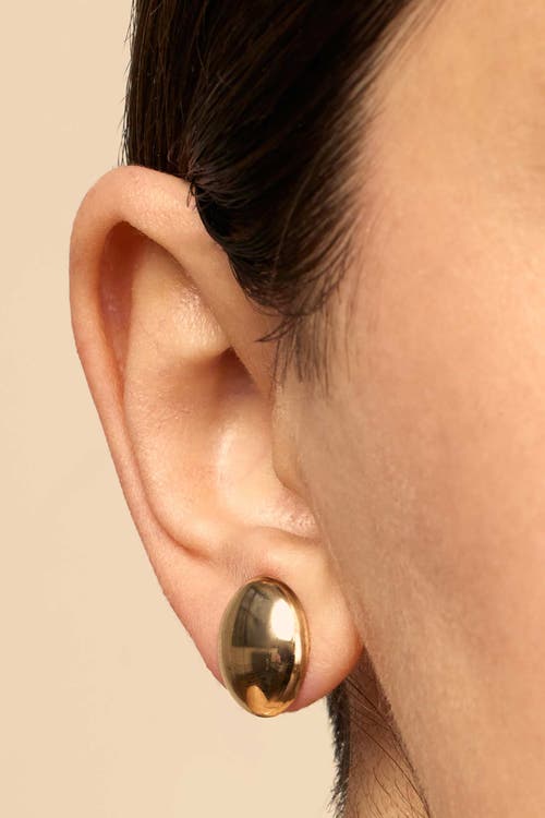 Oradina 10k Yellow Gold High Society Studs In Yellow Gold