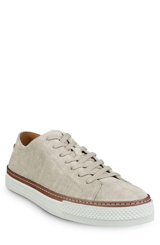 Shop Allen Edmonds Paxton Sneaker In Light Grey