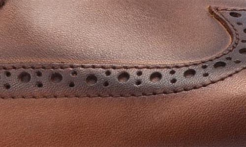 Pikolinos Avila Wingtip Derby In Cuero
