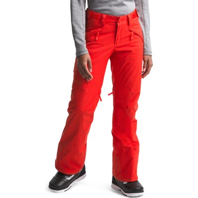 The North Face Freedom Waterproof Insulated Pants