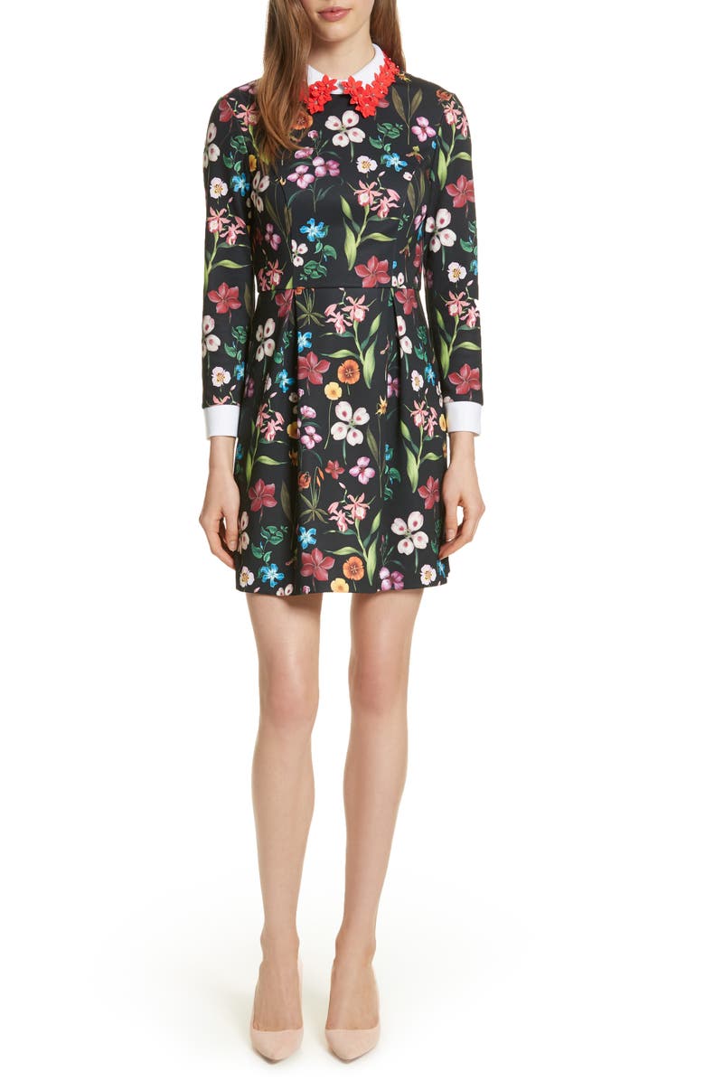 Ted Baker London Hampton Embellished Collar Floral Dress | Nordstrom