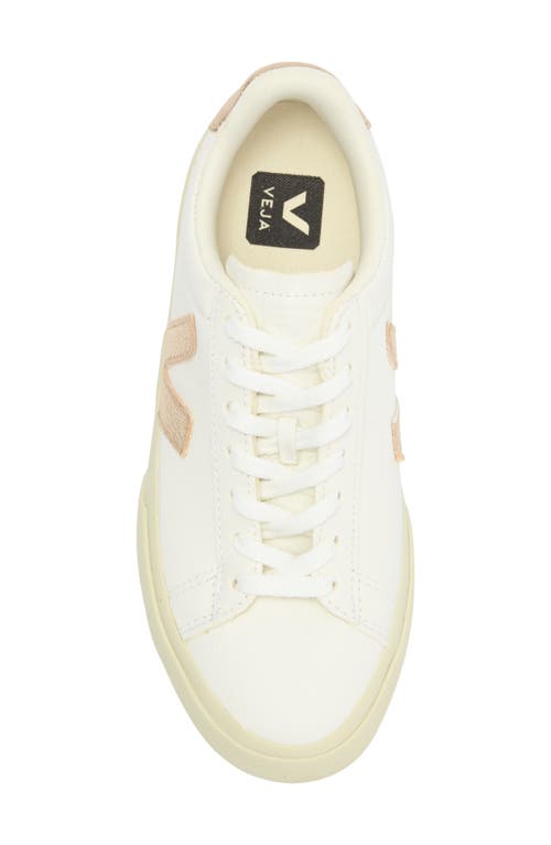 Veja Campo Sneakers In White