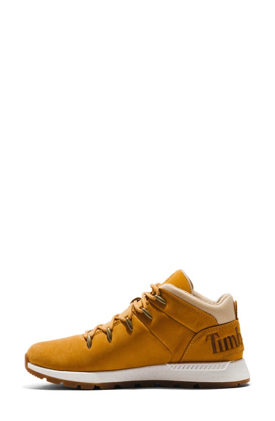 Timberland Sprint Trekker Waterproof Mid Sneaker In Wheat Nubuck
