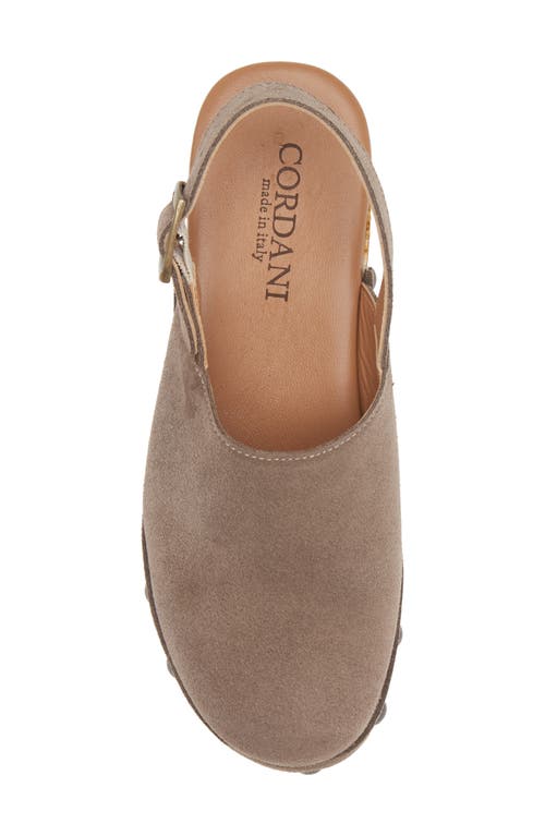 Cordani Wilkes Platform Clog In Fango Suede