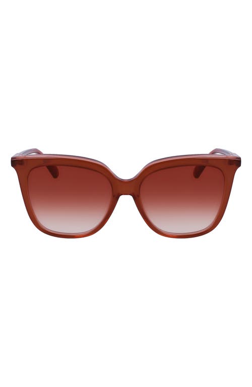 Longchamp 53mm Rectangular Sunglasses In Brown/rose