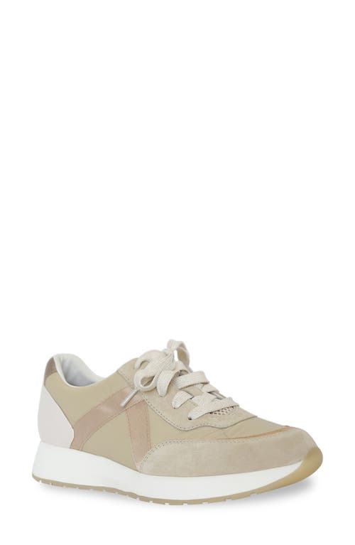 Munro Piper Sneaker Khaki/Gold Suede at Nordstrom,