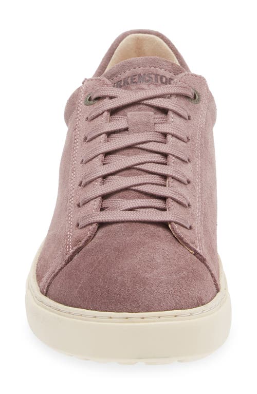 Shop Birkenstock Bend Low Top Sneaker In Faded Purple