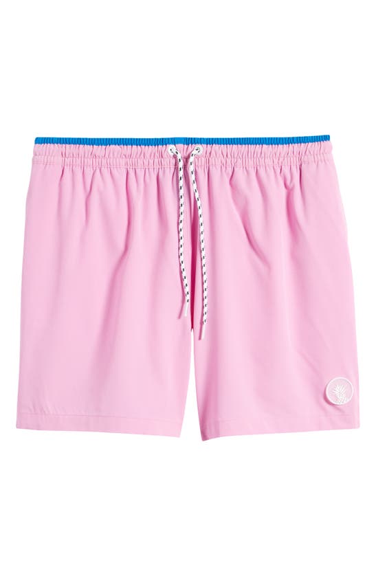 Chubbies 5.5-inch Swim Trunks In The Pink 182s | ModeSens