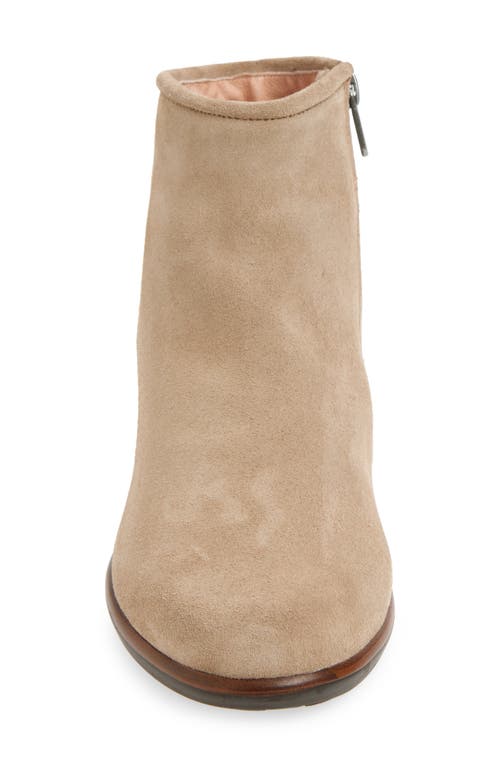 Shop Naot Norther Bootie In Almond Suede