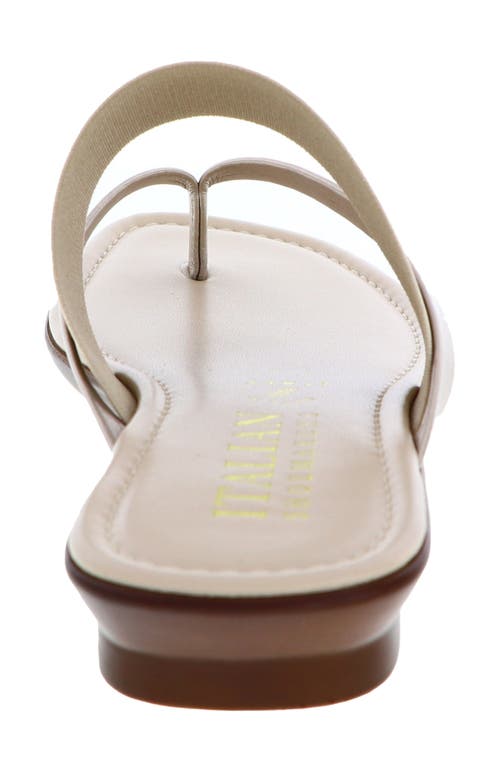 Italian Shoemakers Felia Flip Flop In Taupe