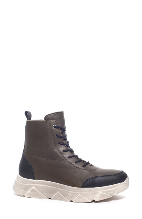 Talulah Wool Lined Lace-Up Boot in Velvet Dk. Moss