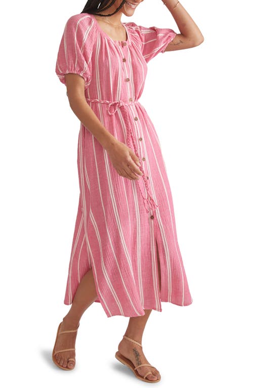 Marine Layer Stripe Belted Double Cloth Midi Shirtdress In Fuschia Stripe