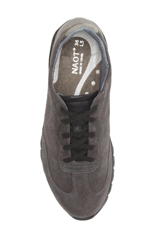 Naot Infinity Colorblock Sneaker In Oily Midnight Suede Gray Combo