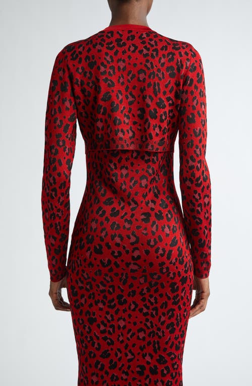 Shop Versace Animalier Leopard Jacquard Crop Cardigan In Lipstick Red