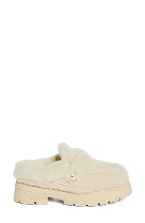 Shop Jimmy Choo Shea Genuine Shearling Loafer Mule In Natural