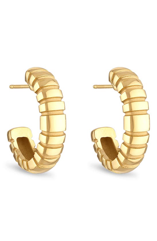 Shop Pamela Zamore Orla Large Oval Hoop Earrings In Gold