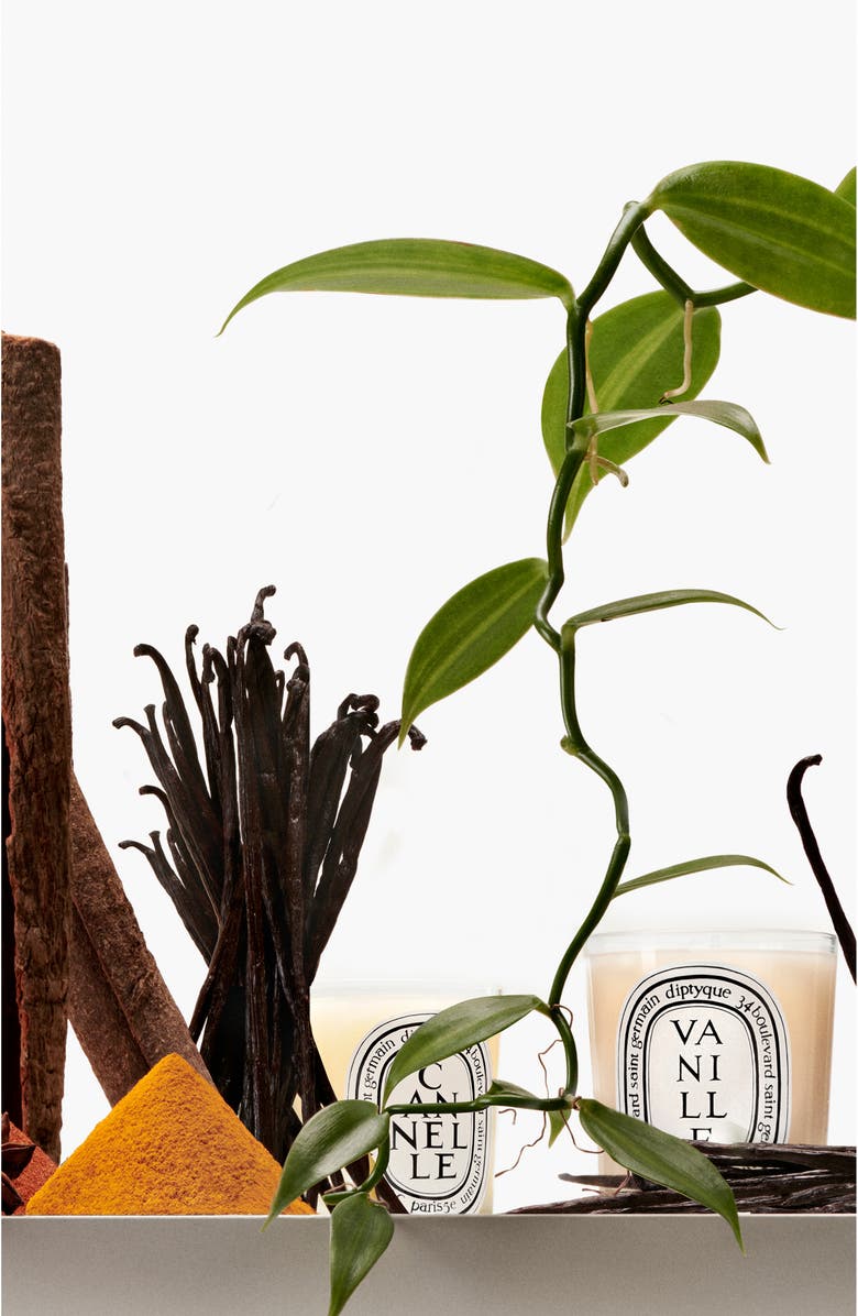 Diptyque Vanille (Vanilla) Scented Candle Nordstrom